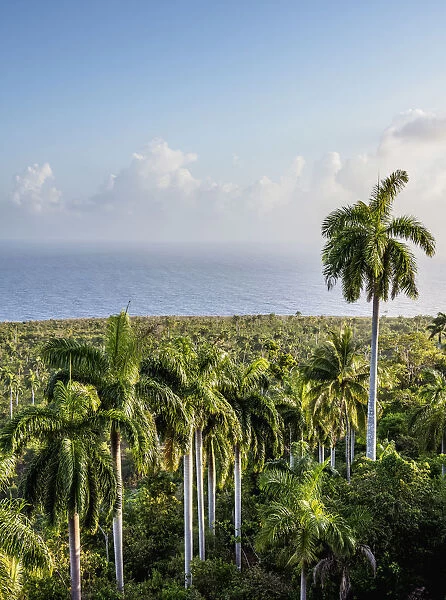 Landscape of Baracoa, Guantanamo Province, Cuba