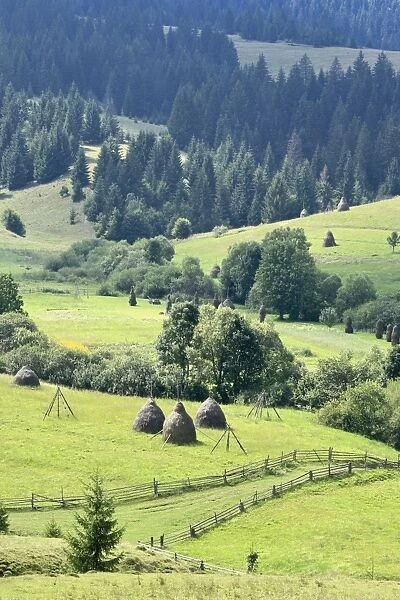 Landscape, Carpathians, Zakarpattia Oblast, Transcarpathia, Ukraine