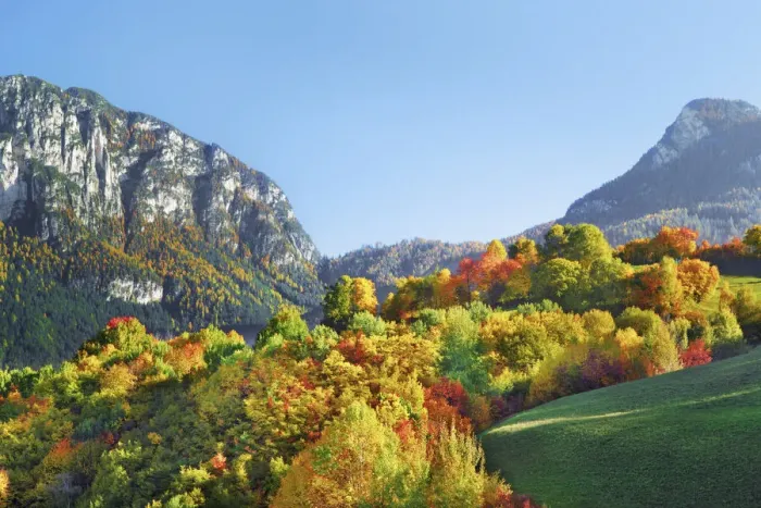 Framed Print : Landscape with deciduous forest in autumn colours - Italy, Trentino-Alto Adige Framed Print : Landscape with deciduous forest in autumn colours - Italy, Trentino-Alto Adige