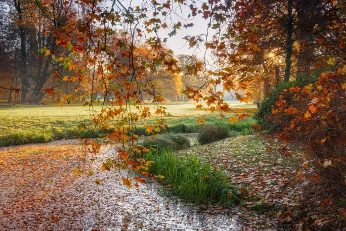 Framed Print : Landscape garden of Fuerst Pueckler, Bad Muskau, UNESCO World Heritage Site, Saxony, Germany, Europe Framed Print : Landscape garden of Fuerst Pueckler, Bad Muskau, UNESCO World Heritage Site, Saxony, Germany, Europe