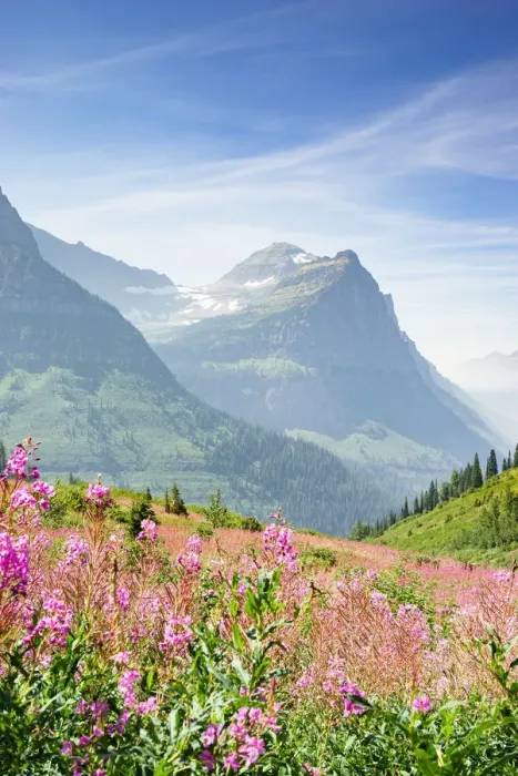 Framed Print : Landscape along Going to the Sun Road, Glacier National Park, Montana, USA Framed Print : Landscape along Going to the Sun Road, Glacier National Park, Montana, USA