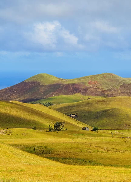 Landscape of the island seen from the way up to the Maunga Terevaka, Easter Island, Chile