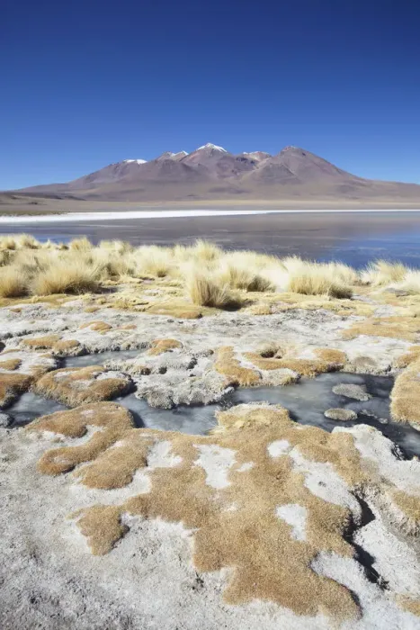 Framed Print : Landscape of Laguna Canapa on Altiplano, Potosi Department, Bolivia Framed Print : Landscape of Laguna Canapa on Altiplano, Potosi Department, Bolivia