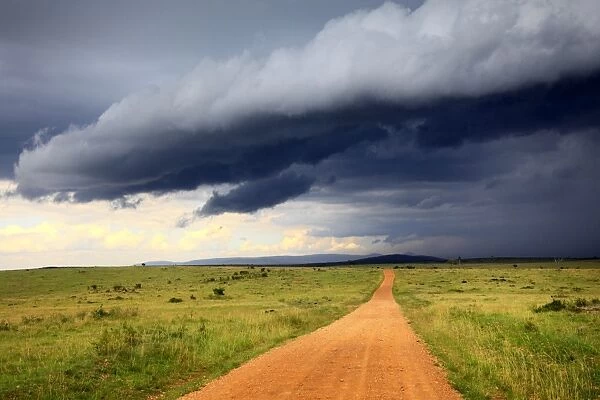 Landscape, Msai Mara National Reserve, Kenya