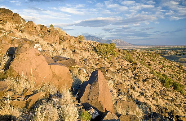 Landscape near Albuquerque, New Mexico, USA