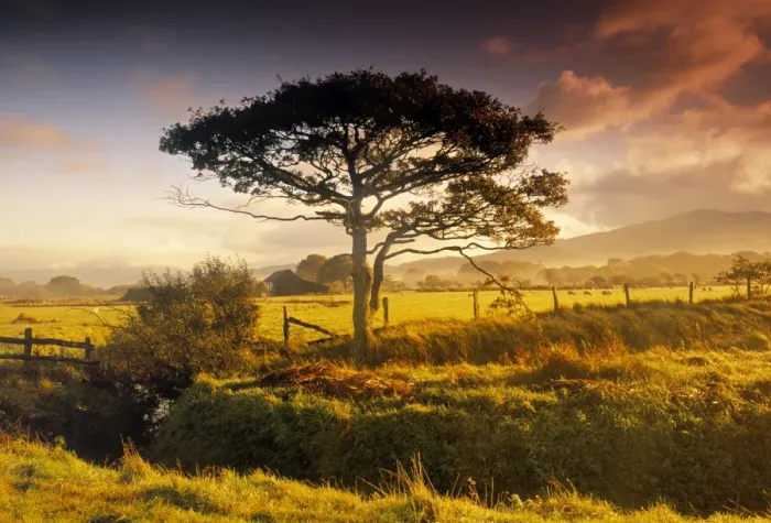 Framed Print : Landscape nr Framed Print : Landscape nr