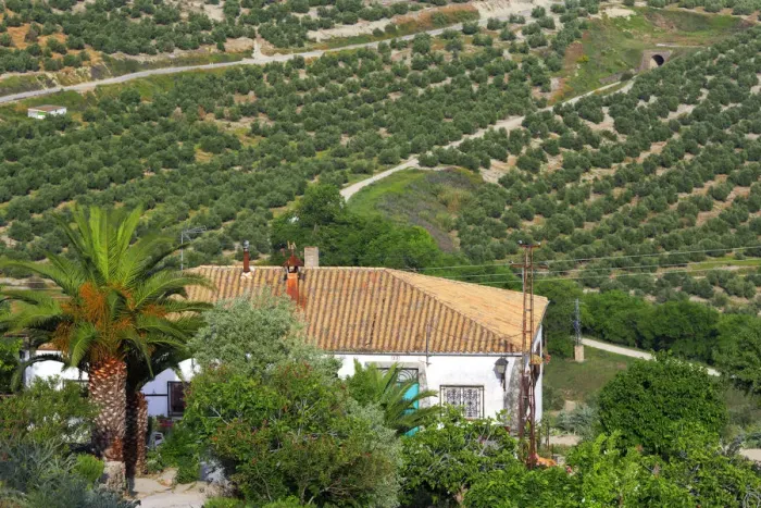 Framed Print : Landscape, olive groves from the Plaza Santa Lucia, Ubeda, Andalusia, Spain