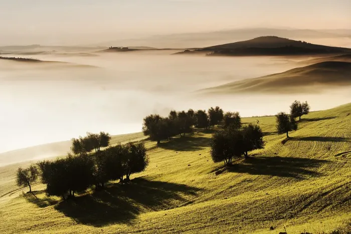 Framed Print : Landscape in the Siena province, Tuscany, Italy Framed Print : Landscape in the Siena province, Tuscany, Italy