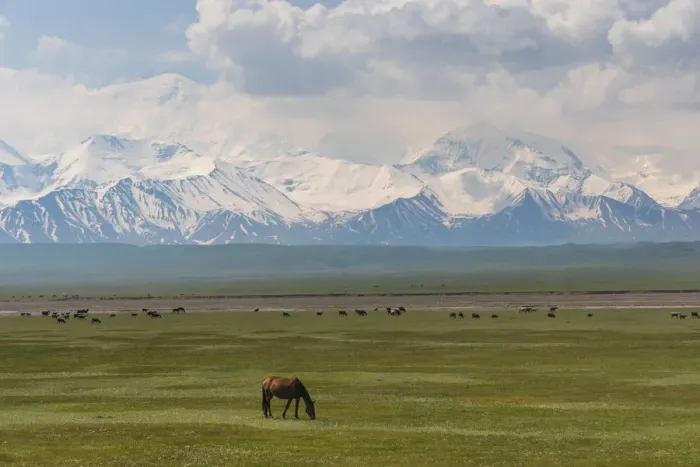 Framed Print : Landscape of valley near Sary Tash with wild horses and Pamir mountains in the background Framed Print : Landscape of valley near Sary Tash with wild horses and Pamir mountains in the background