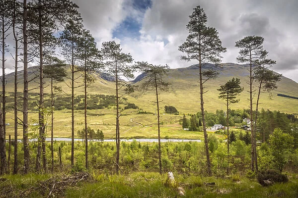 Landscape on the West Highland Way at Bridge of Orchy, Aryll and Bute, Scotland