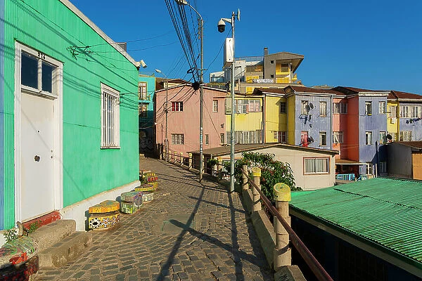 Empty lane amidst colorful houses, Cerro Bellavista, Valparaiso, Valparaiso Province, Valparaiso Region, Chile
