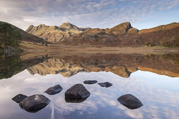 The Langdale Pikes mountains reflected in the mirror still water of Blea Tarn