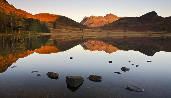 The Langdale Pikes reflected in a mirrorlike Blea Tarn at sunrise, Lake District National