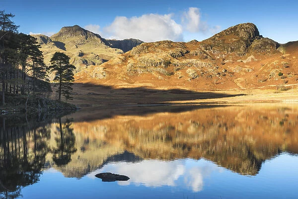 Langdale Pikes Reflecting in Blea Tarn, Lake District National Park, Cumbria, England