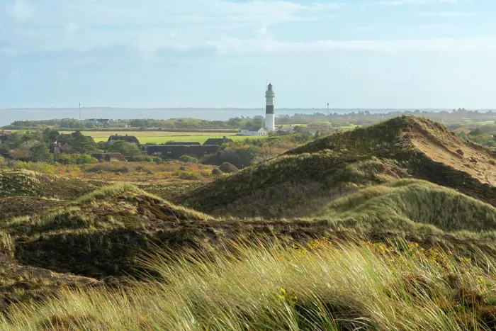 Framed Print : Langer Christian lighthouse and grass covered dune landscape, Kampen, Sylt, Nordfriesland, Schleswig-Holstein, Germany Framed Print : Langer Christian lighthouse and grass covered dune landscape, Kampen, Sylt, Nordfriesland, Schleswig-Holstein, Germany
