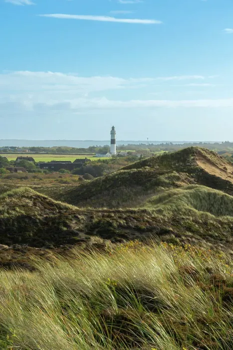 Framed Print : Langer Christian lighthouse and grass covered dune landscape, Kampen, Sylt, Nordfriesland, Schleswig-Holstein, Germany Framed Print : Langer Christian lighthouse and grass covered dune landscape, Kampen, Sylt, Nordfriesland, Schleswig-Holstein, Germany