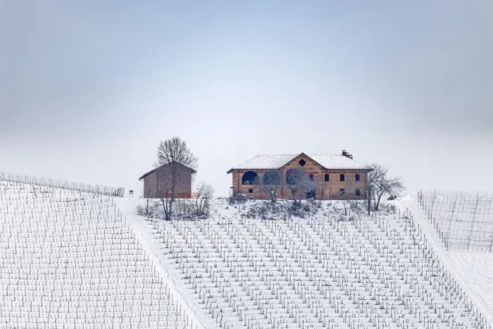 Framed Print : Langhe, Cuneo district, Piedmont, Italy. Langhe wine region winter snow, Fontanafredda Framed Print : Langhe, Cuneo district, Piedmont, Italy. Langhe wine region winter snow, Fontanafredda