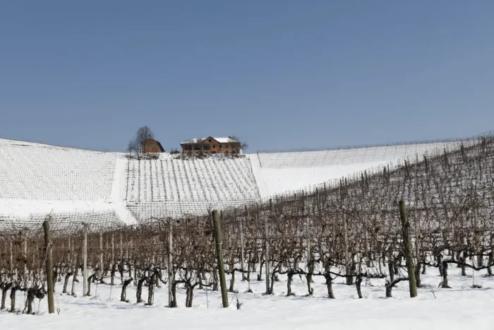 Framed Print : Langhe, Cuneo district, Piedmont, Italy. Langhe wine region winter snow, Fontanafredda