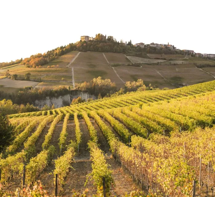 Framed Print : Langhe, Piedmont, Italy. Autumn landscape with vineyards and hills Framed Print : Langhe, Piedmont, Italy. Autumn landscape with vineyards and hills