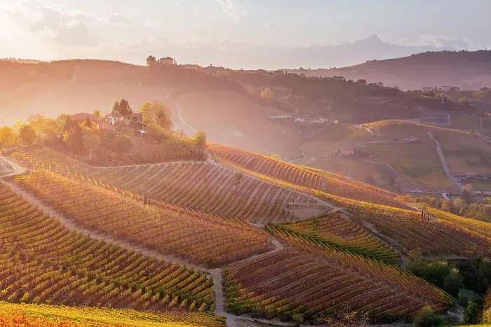 Framed Print : Langhe, Piedmont, Italy. Vineyards and autumn landscape Framed Print : Langhe, Piedmont, Italy. Vineyards and autumn landscape