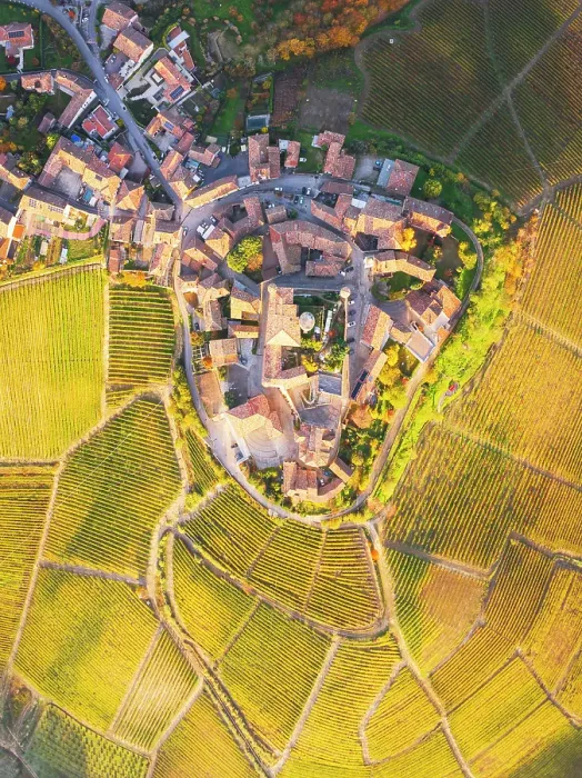 Framed Print : Langhe vineyards and Castiglione Falletto village, Unesco World Heritage Site, Cuneo province, Liguria, Italy Framed Print : Langhe vineyards and Castiglione Falletto village, Unesco World Heritage Site, Cuneo province, Liguria, Italy
