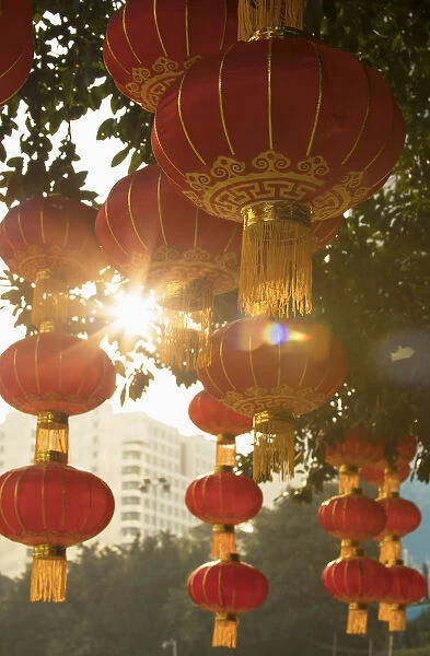 Lanterns in Lizhi Park, Shenzhen, Guangdong, China
