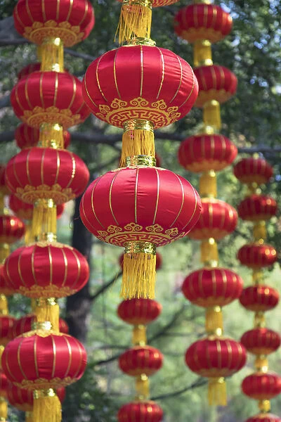 Lanterns in Lizhi Park, Shenzhen, Guangdong, China