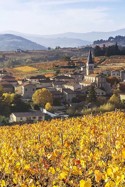 Lantignie and its vineyards, Beaujolais region, Rhone Alpes, France