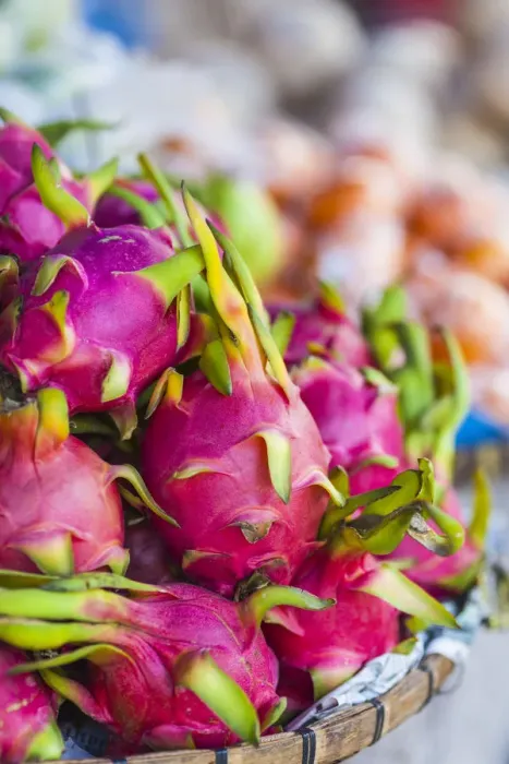 Framed Print : Laos, Luang Prabang, morning market, dragon fruit Framed Print : Laos, Luang Prabang, morning market, dragon fruit
