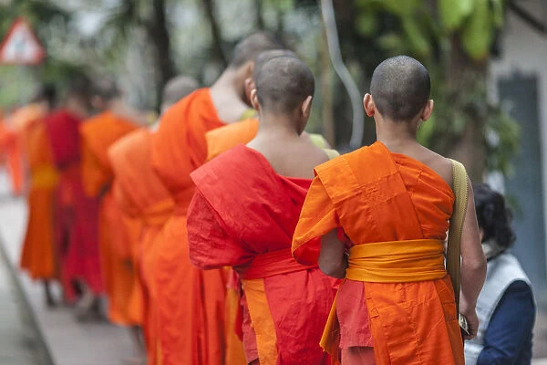 Laos, Luang Prabang, Tak Bat, dawn procession of Buddhist monks collecting alms