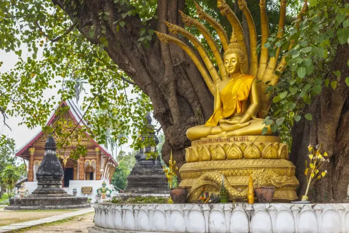 Framed Print : Laos, Luang Prabang, Wat Wisunarat, golden buddha Framed Print : Laos, Luang Prabang, Wat Wisunarat, golden buddha