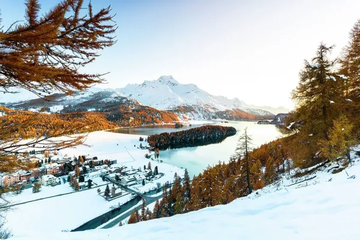 Framed Print : Larch trees surrounding lake Sils and Piz Da La Margna, St. Moritz, Graubunden, Engadin, Switzerland Framed Print : Larch trees surrounding lake Sils and Piz Da La Margna, St. Moritz, Graubunden, Engadin, Switzerland