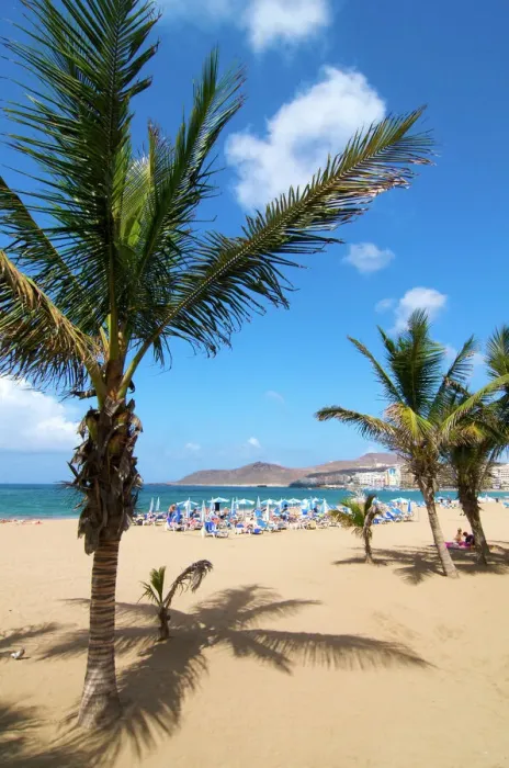 Framed Print : Las Canteras beach, Las Palmas, Gran Canaria, Canary Islands, Spain Framed Print : Las Canteras beach, Las Palmas, Gran Canaria, Canary Islands, Spain