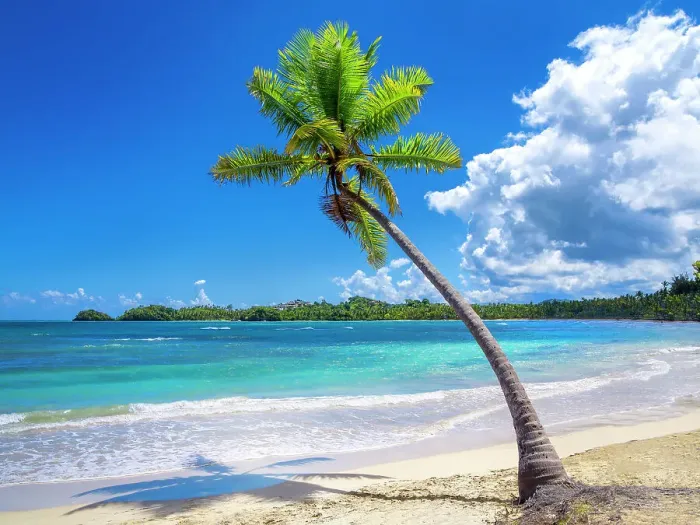 Framed Print : Las Terrenas, Playa Bonita, Dominican Republic Framed Print : Las Terrenas, Playa Bonita, Dominican Republic