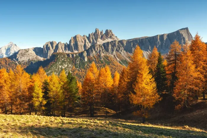 Framed Print : Lastoi de Formin in autumn season, Cortina d Ampezzo, Veneto, Italy Framed Print : Lastoi de Formin in autumn season, Cortina d Ampezzo, Veneto, Italy