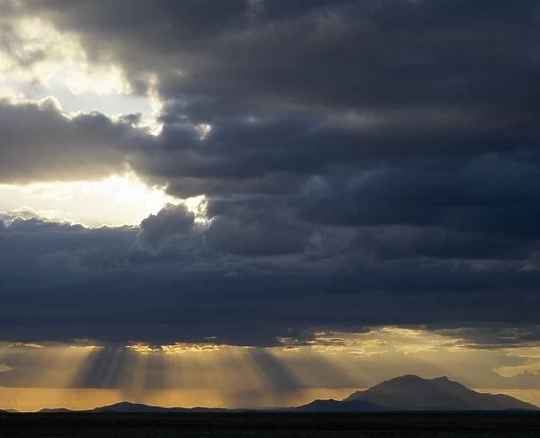 In the late afternoon, storm clouds gather over Amboseli