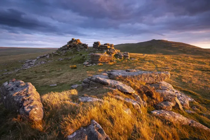 Framed Print : Late summer evening sunlight glowing on the granite outcrops of West Mill Tor in Dartmoor Framed Print : Late summer evening sunlight glowing on the granite outcrops of West Mill Tor in Dartmoor