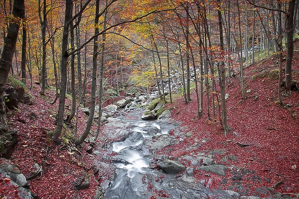 Lavacchiello waterfall in autumn, Tuscany-Emilian appennines, Emilia Romagna, Italy