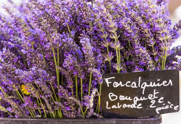 Framed Print : Lavender bunches on sale at a French market, Provence, France