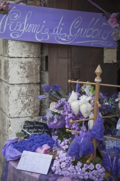 Framed Print : Lavender display in shop, Gubbio, Umbria, Italy Framed Print : Lavender display in shop, Gubbio, Umbria, Italy