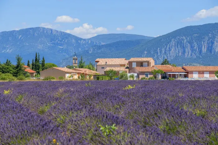 Framed Print : Lavender field with Puimoisson, Provence-Alpes-Cote d'Azur, France Framed Print : Lavender field with Puimoisson, Provence-Alpes-Cote d'Azur, France