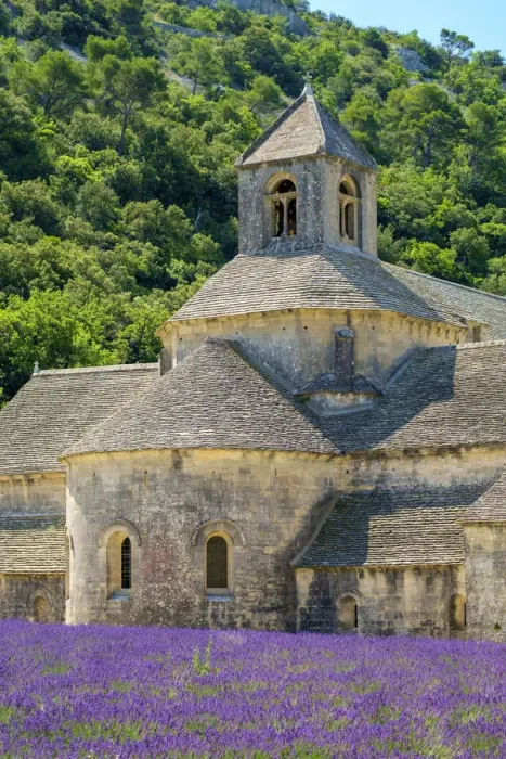 Framed Print : Lavender fields in full bloom in early July in front of Abbaye de Senanque Abbey Framed Print : Lavender fields in full bloom in early July in front of Abbaye de Senanque Abbey
