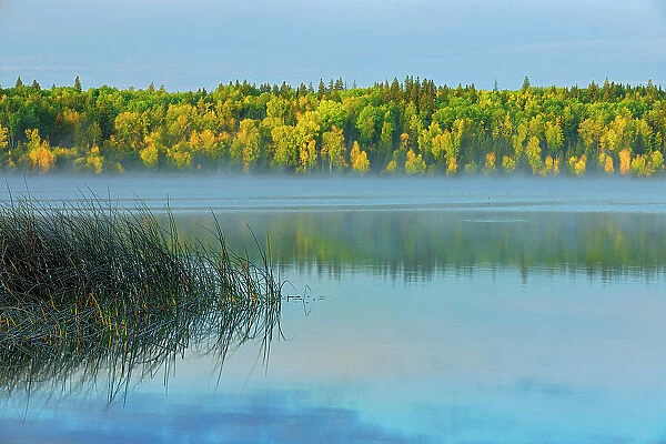 Lawrence Lake in autumn Lawrence Lake Provincial Park, Alberta, Canada Lawrence Lake Provincial Park, Alberta, Canada
