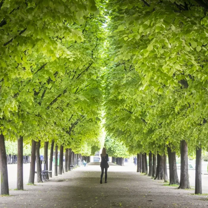 Framed Print : Le Palais Royal, Paris, France