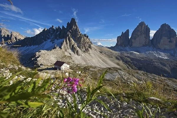 Le Tre Cime di Laveredo, Dolomites, Trentino, South Tyrol, Italy