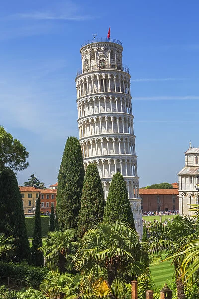 Leaning Tower, Campo dei Miracoli, Pisa, Tuscany, Italy, Europe