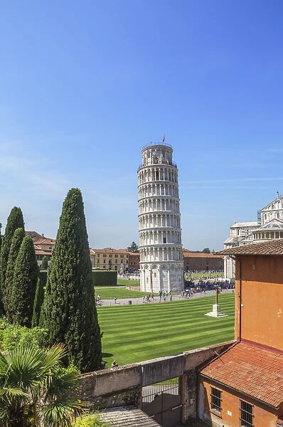 Leaning Tower, Campo dei Miracoli, Pisa, Tuscany, Italy, Europe