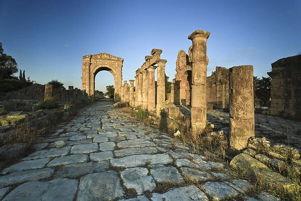 Lebanon, Tyre, Al Bass UNESCO site, Colonnaded Street and Roman Triumphal Arch
