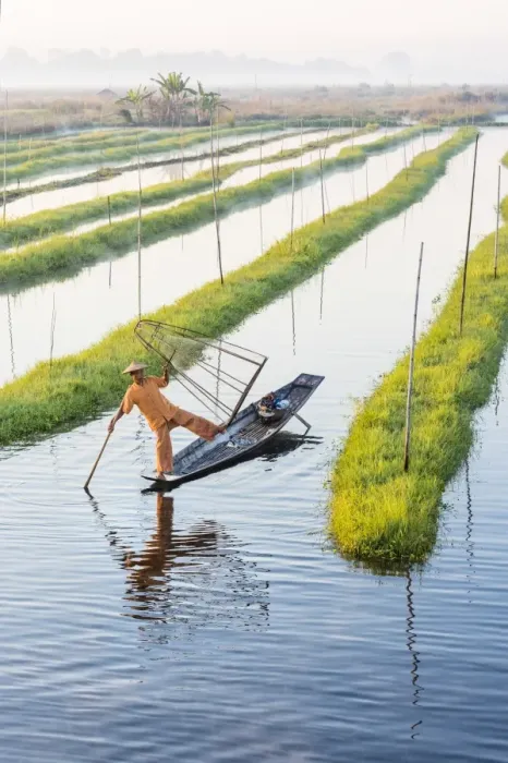 Framed Print : Leg-rowing fisherman of Inle Lake, Shan State, Myanmar Framed Print : Leg-rowing fisherman of Inle Lake, Shan State, Myanmar