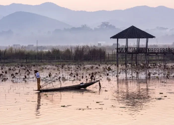 Framed Print : Leg-rowing fisherman of Inle Lake in the morning mist, Shan State, Myanmar Framed Print : Leg-rowing fisherman of Inle Lake in the morning mist, Shan State, Myanmar